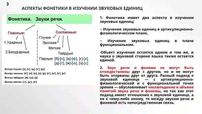 Изучение звуковых единиц в фонетике 3