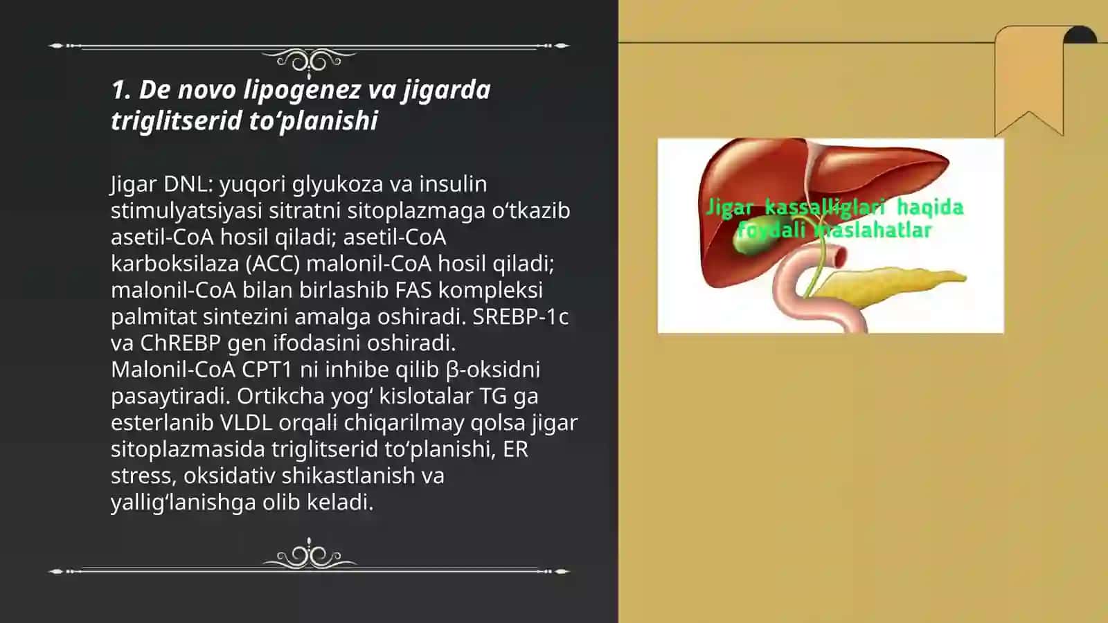 Jigar komasi rivojlanishining biokimyoviy mexanizimlari 3