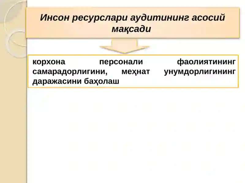 Инсон ресурслари аудити 3