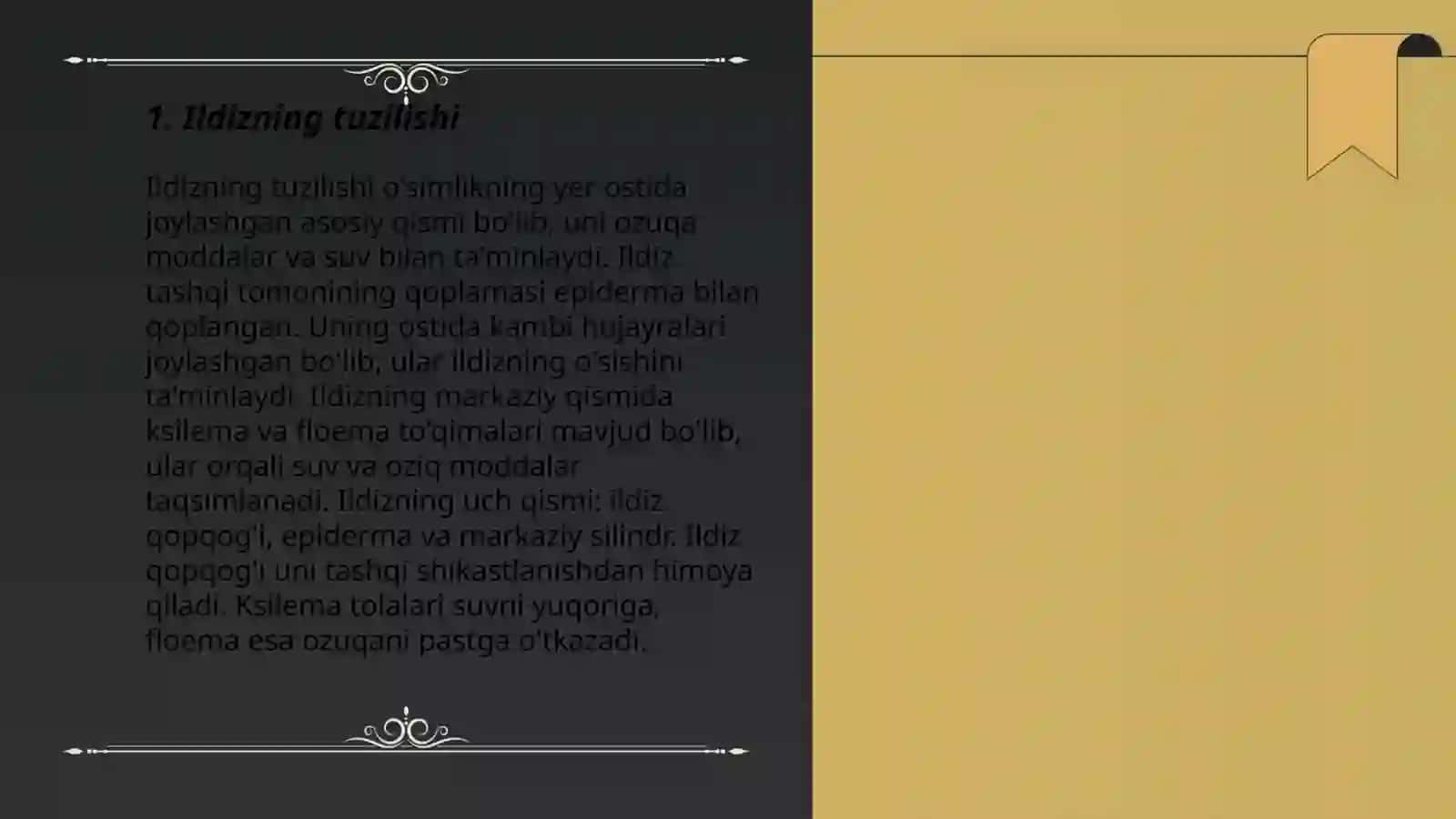 Ildiz, poya va barg metamarfozi 3