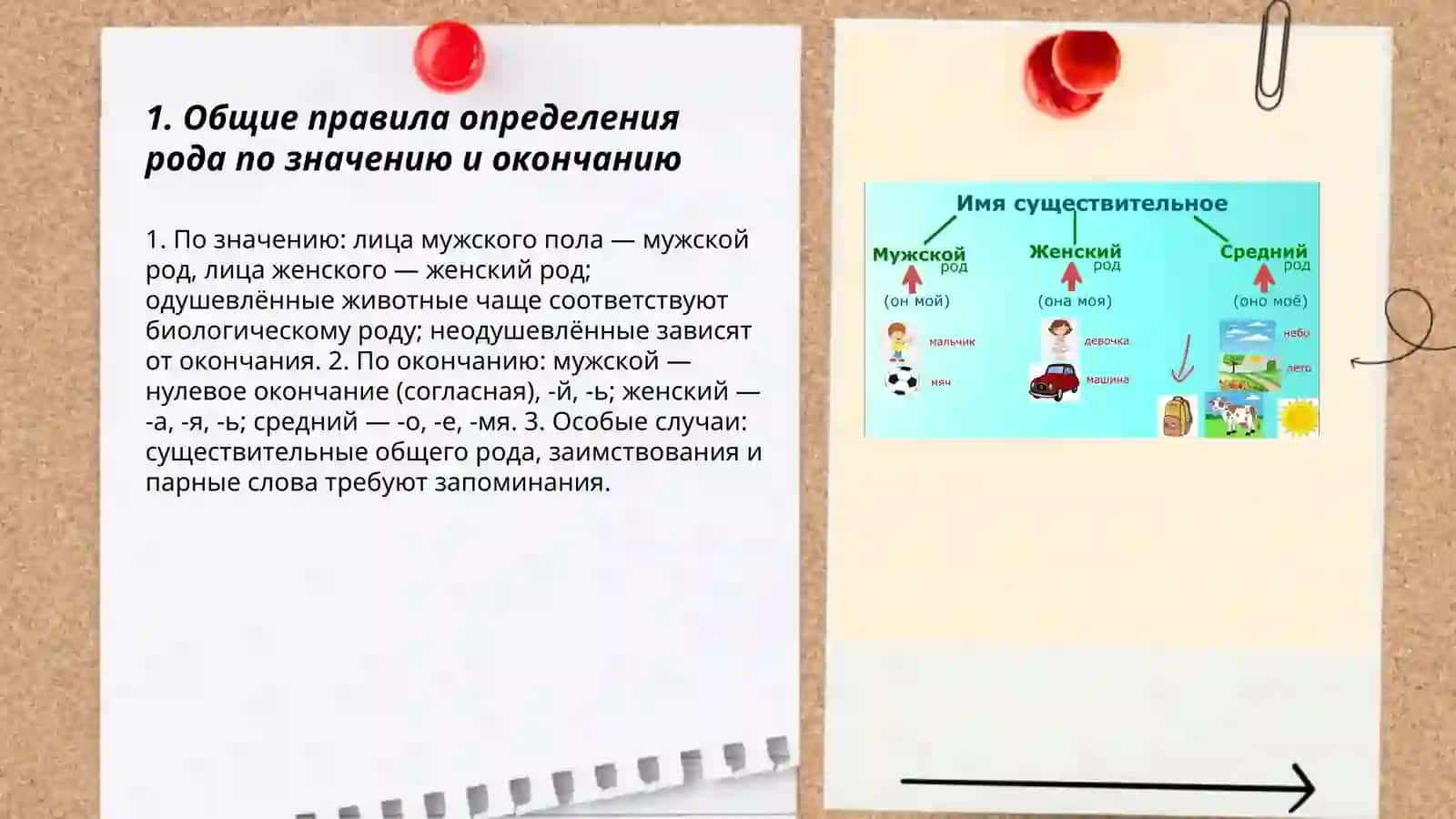 Определение рода имен существительных по значению и окончанию 3