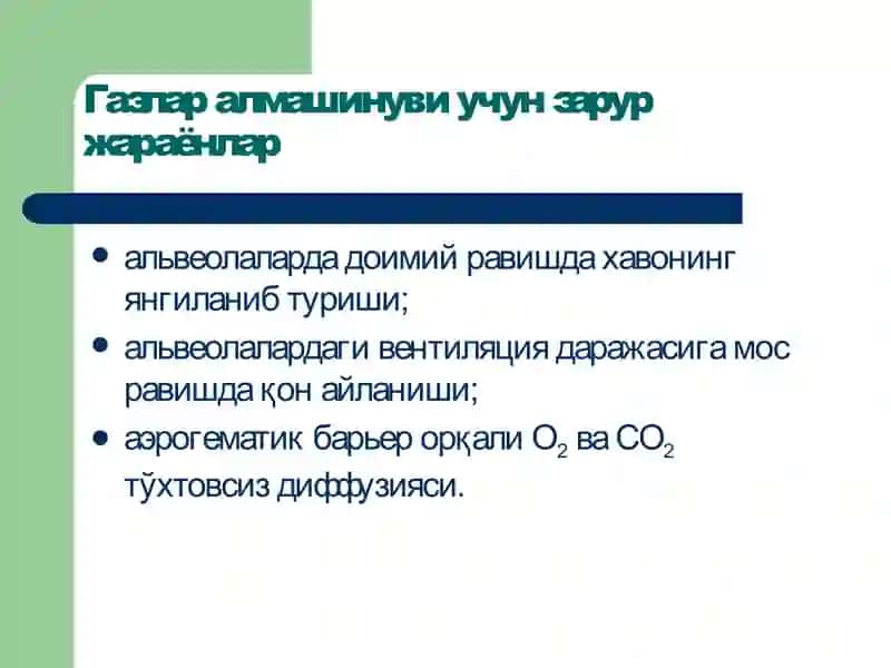 Ташқи нафастизими патофизиологияси 3