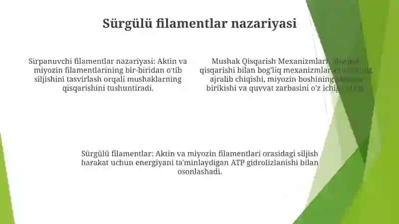 Mushak Qisqarish Mexanizmlari 3