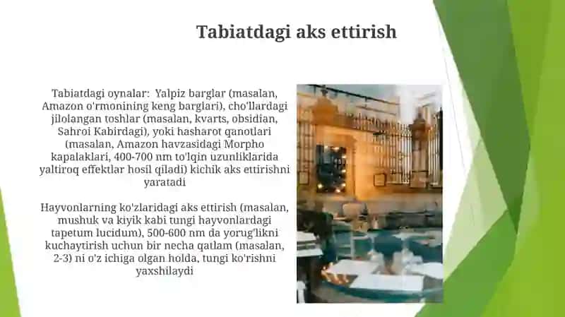 Tafakkur 3