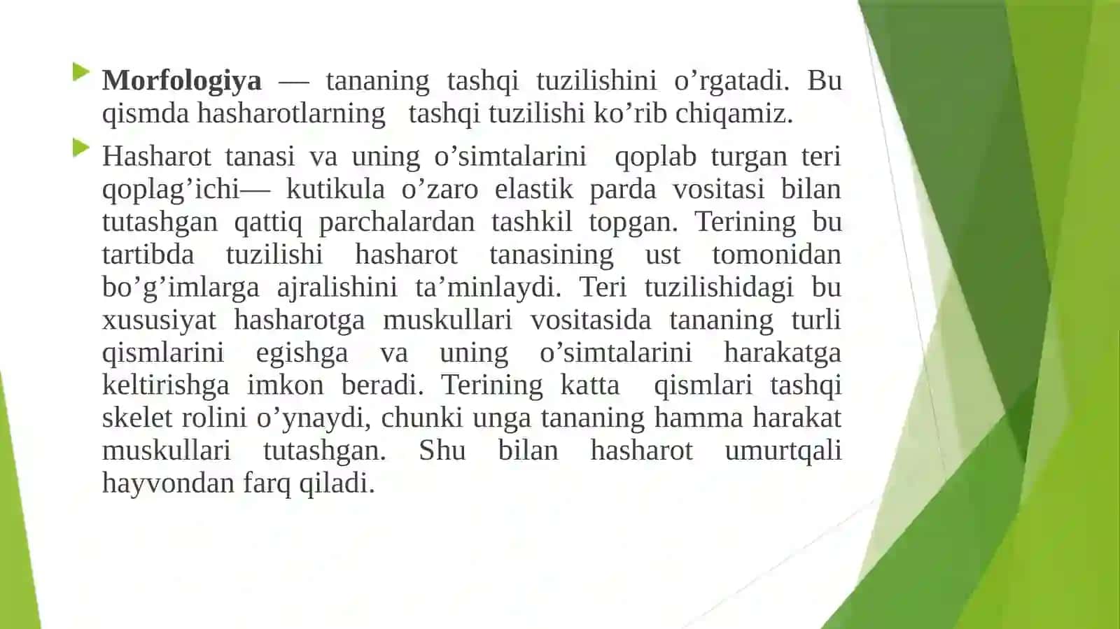 Hasharotlarning morfologiyasi va anatomiyasi 3