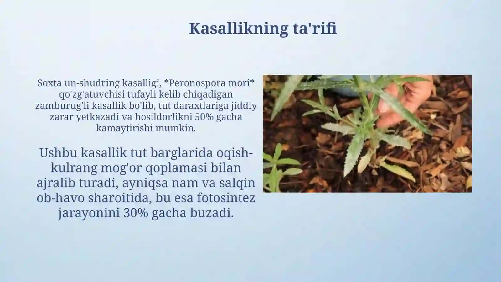 Soxta un shudring kasalligi 3