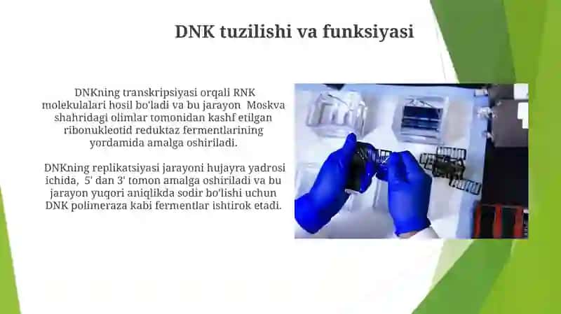 Umumiy genetika 3