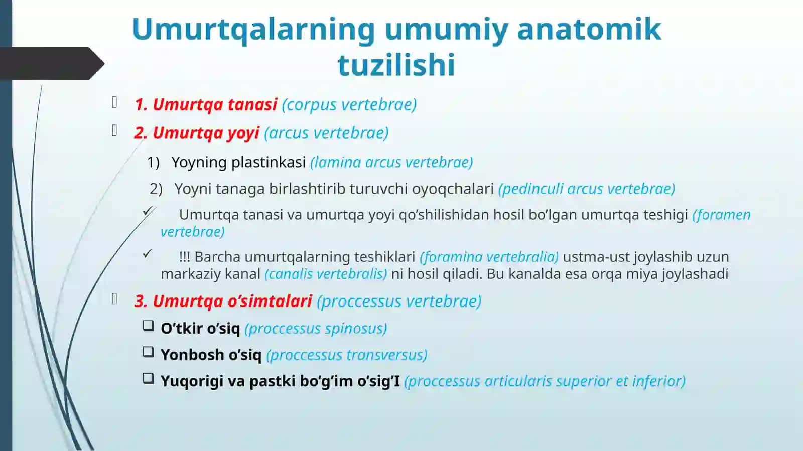 UMURTQALAR ANATOMIYASI 3