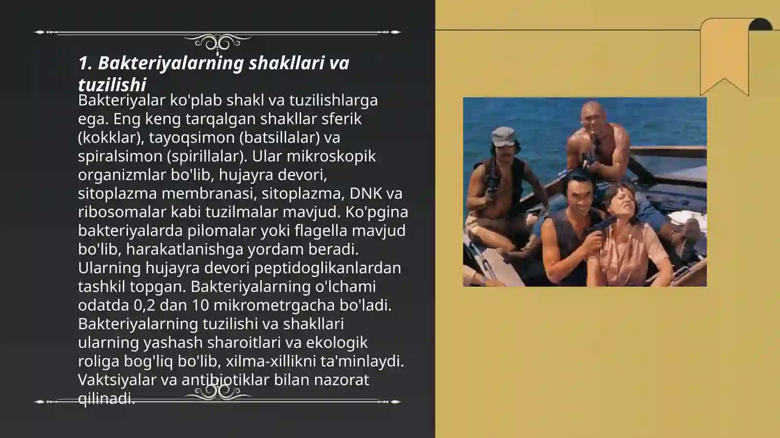 Bakteriyalarning marfologiyasi 3