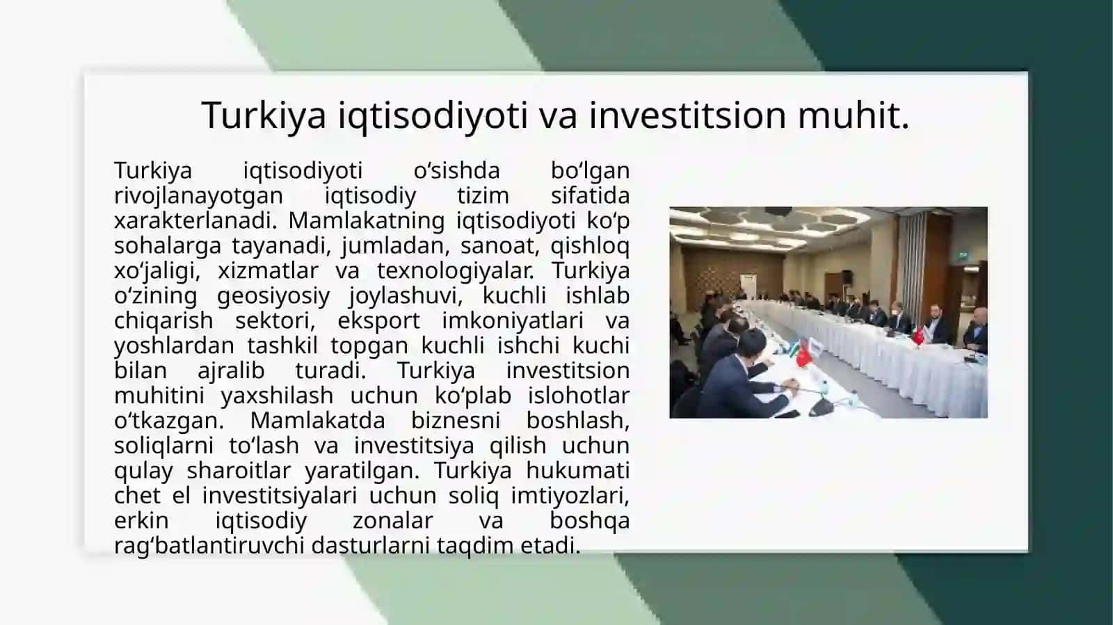 Turkiyadavlatiniinvestetsiyasi 3
