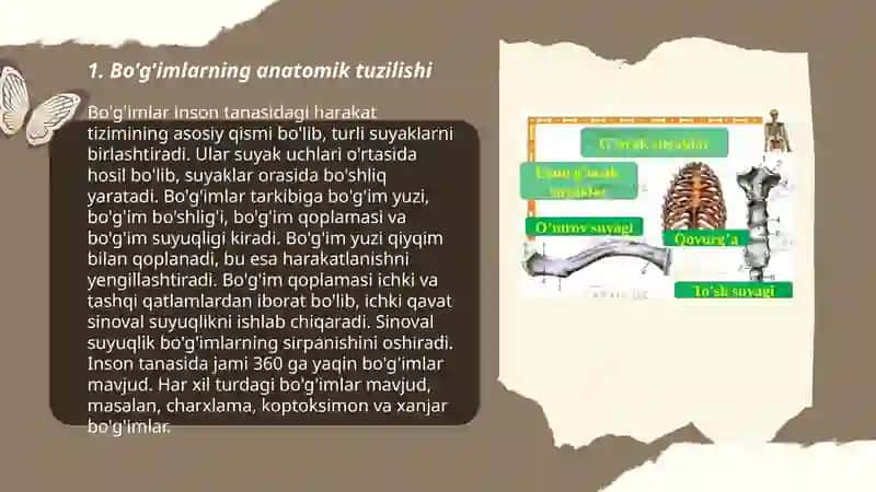 Suyaklarning anatomik tuzulishi 3