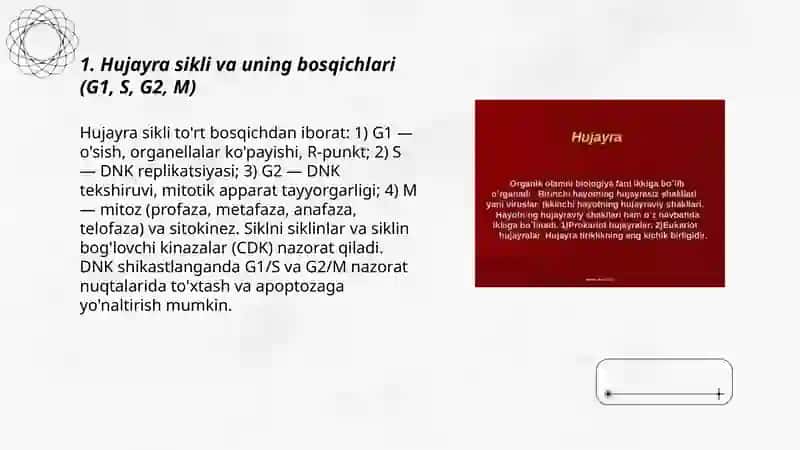 Hujayrani ôsishi va ixtisoslashishini 3