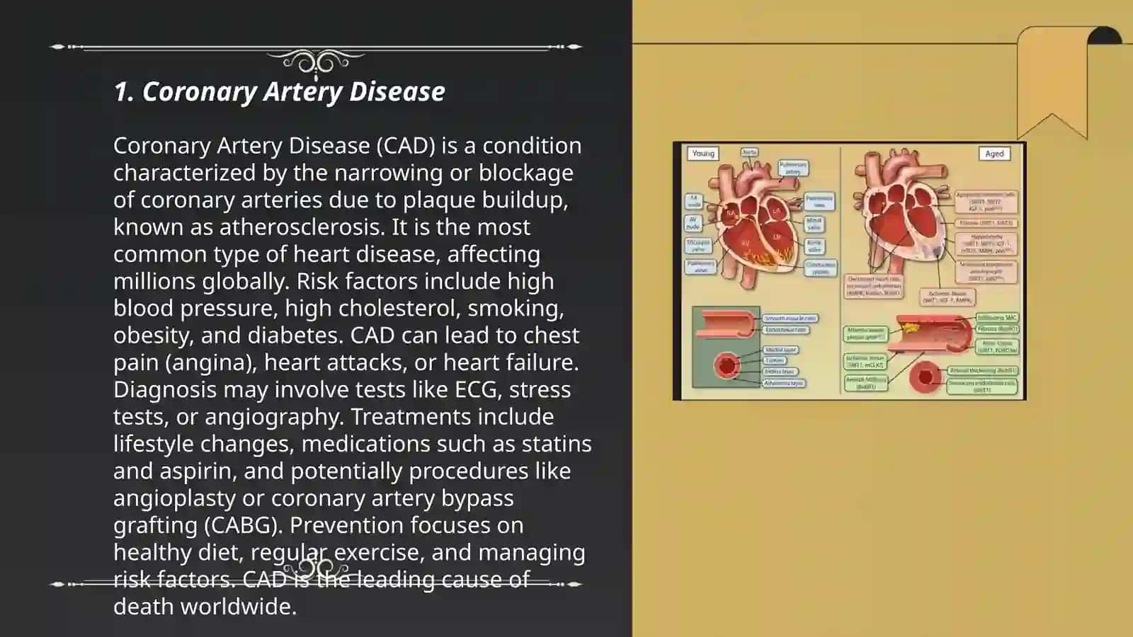 The diseases of the cardiovascular system 3