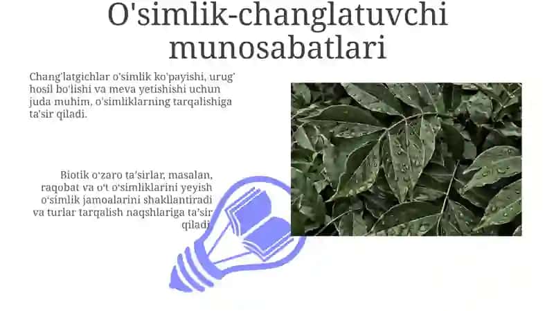 O'simliklar Tarqalishi 3