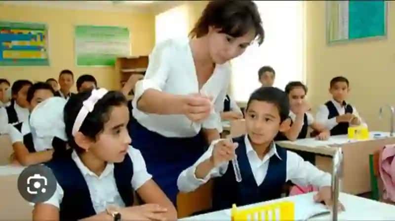 Oʻzbekiston va Finlyandiya taʼlim tizimi 3