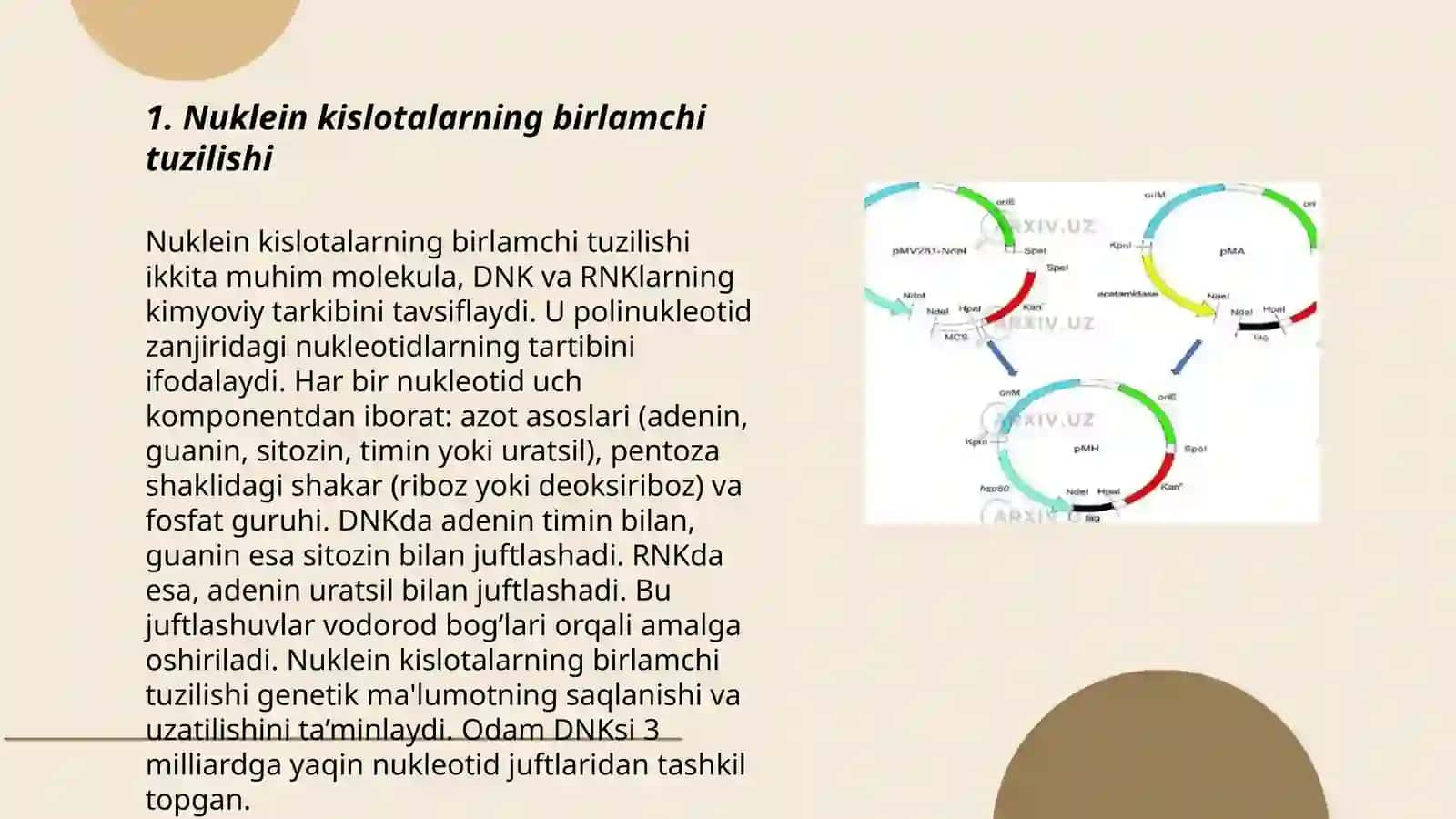 Nuklein kislotalarning birlamchi tuzilishi 3