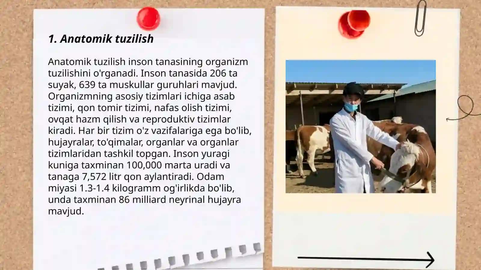 Veterinariya atamalari 3