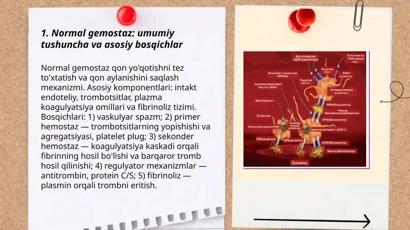 Normal gemostaz. Gemostaz sistemasining normal diagnostikasi Matchanova Xamida 3