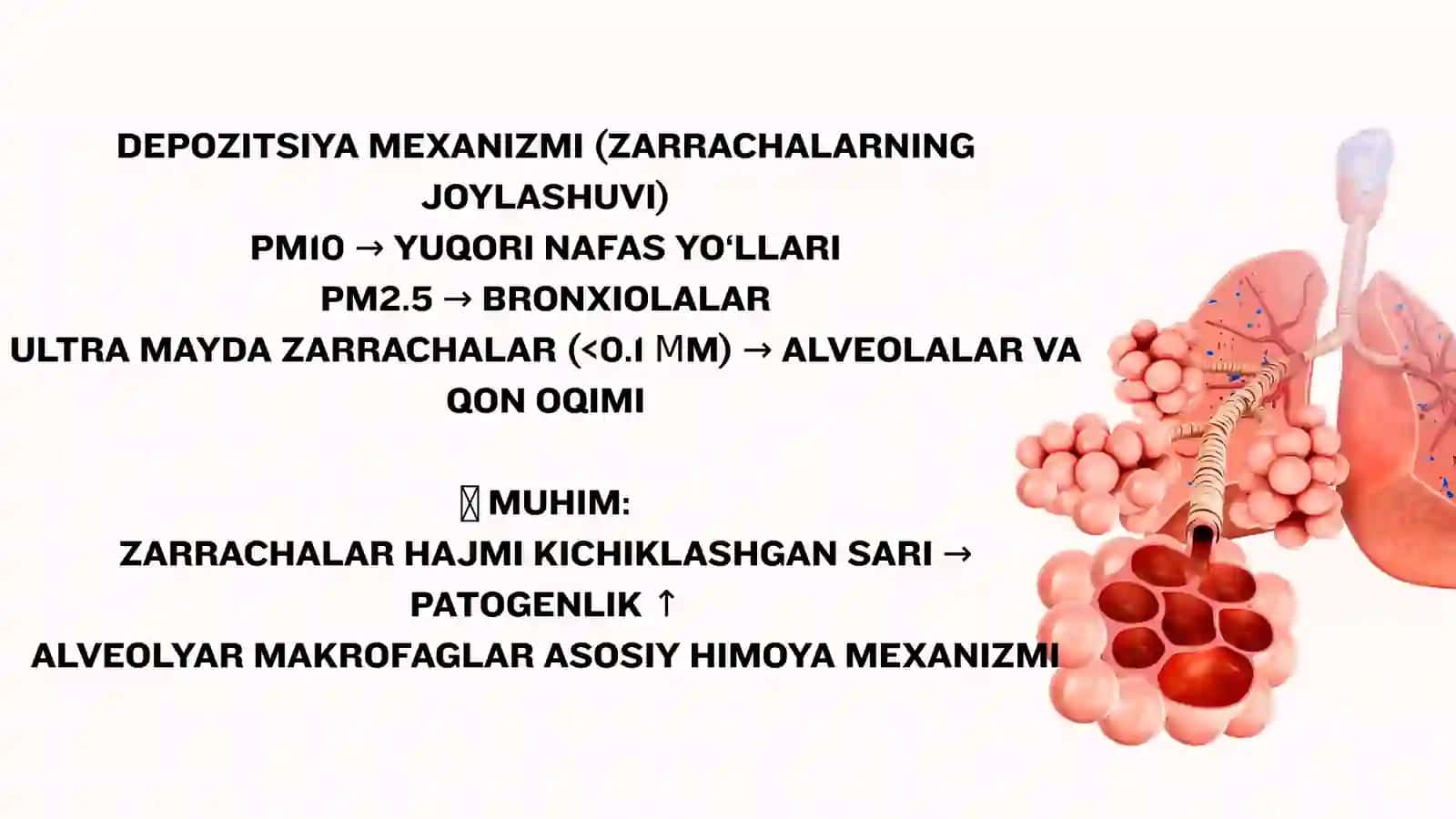 HAVO IFLOSLANISHINING O'PKA PATALOGIYASIDAGI AHAMIYATI 3