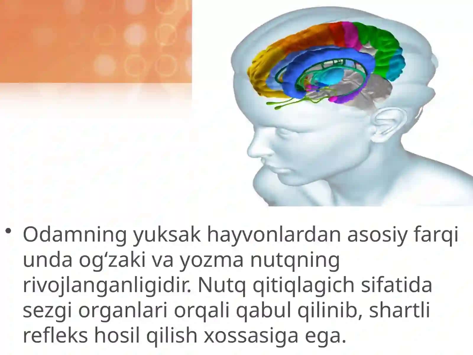 Odam va uning salomatligi 3