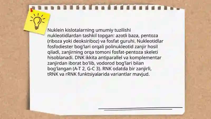 Nuklein kislotalar 3