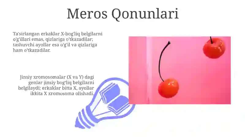 Jinsiy Bog'liq Belgilar 3