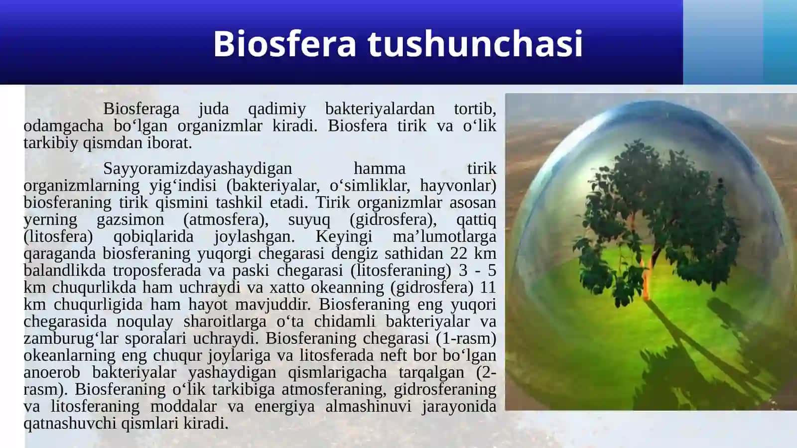 BIOSFERA. BIOSFERANING TARKIBI VA BARQARORLIGI 3
