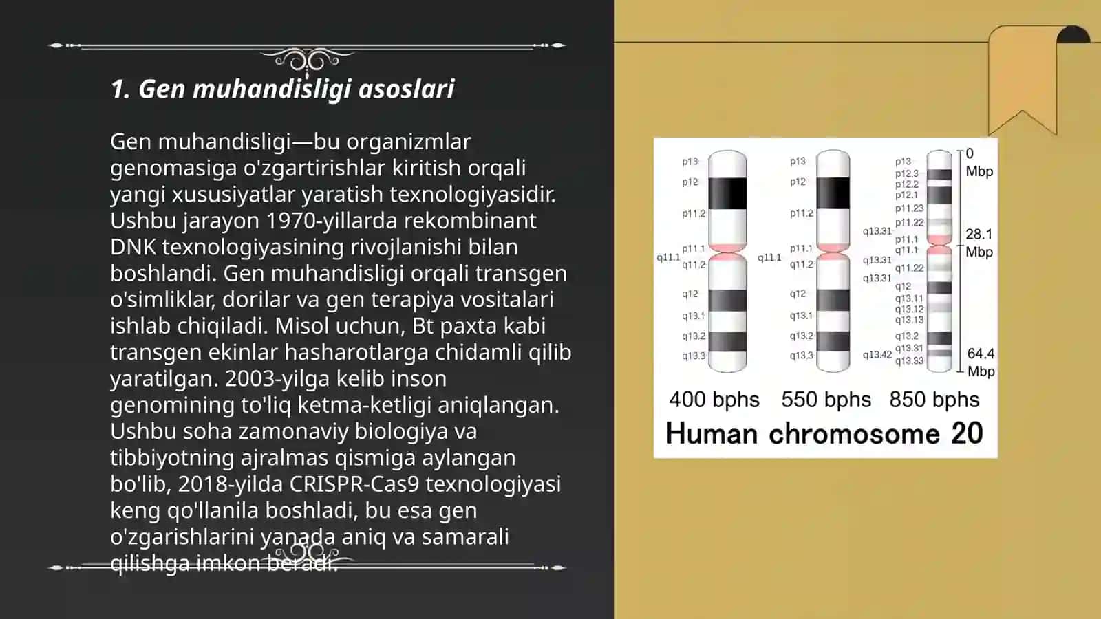 Genlarni ajratib olish texnologiyasi 3