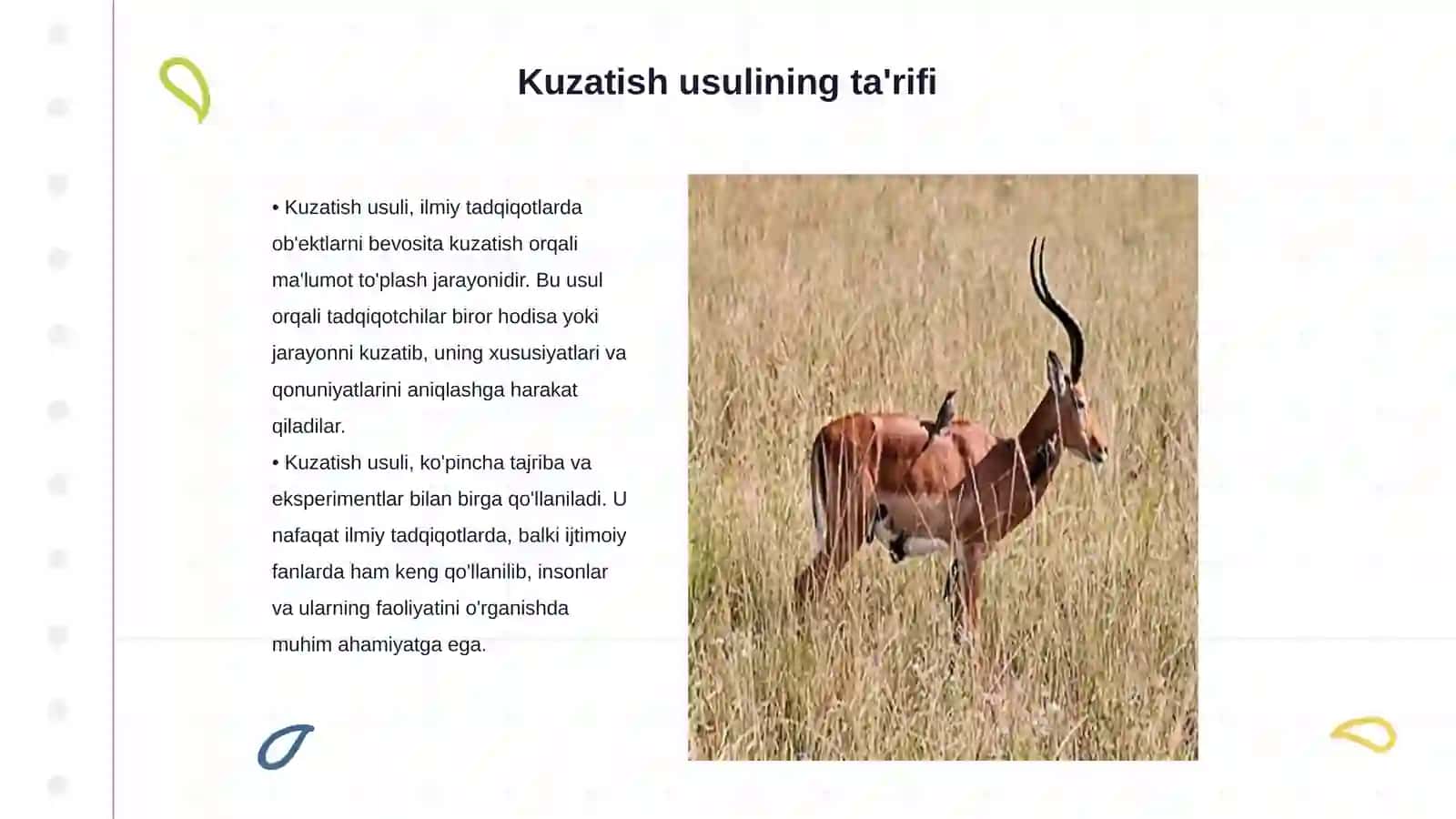 Kuzatish usuli va uning avzalliklari 3