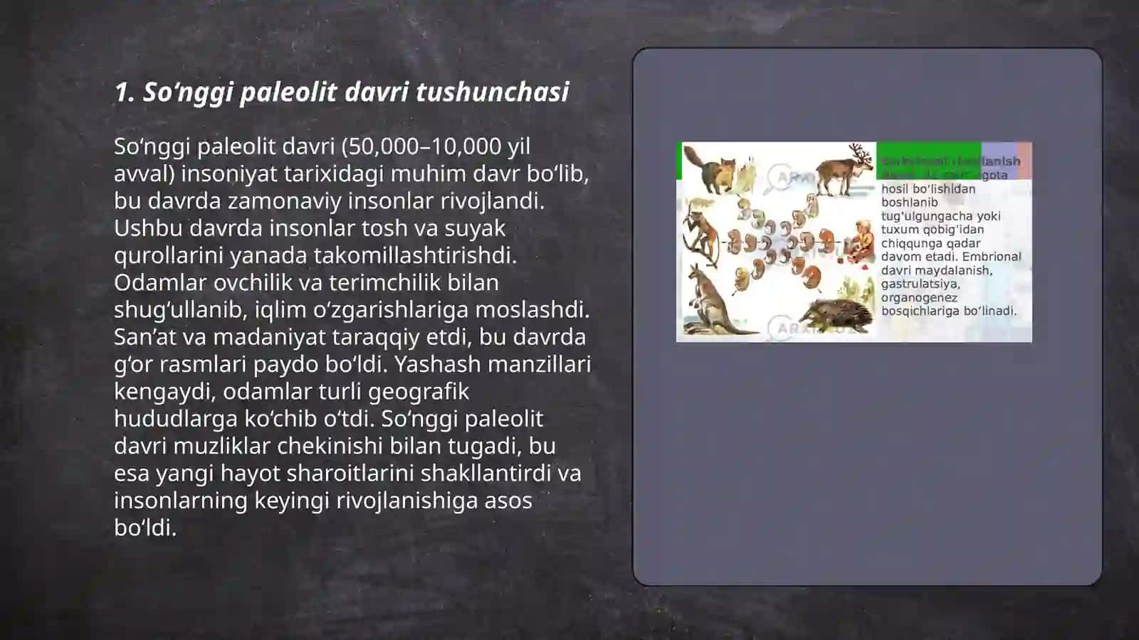 So‘nggi paleolit davri va uning o‘zigaxos xususiyatlari 3