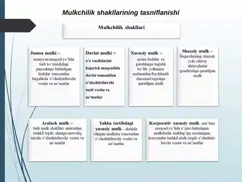 MULKNI DAVLAT TASARRUFIDAN CHIQARISH, XUSUSIYLASHTIRISH 3