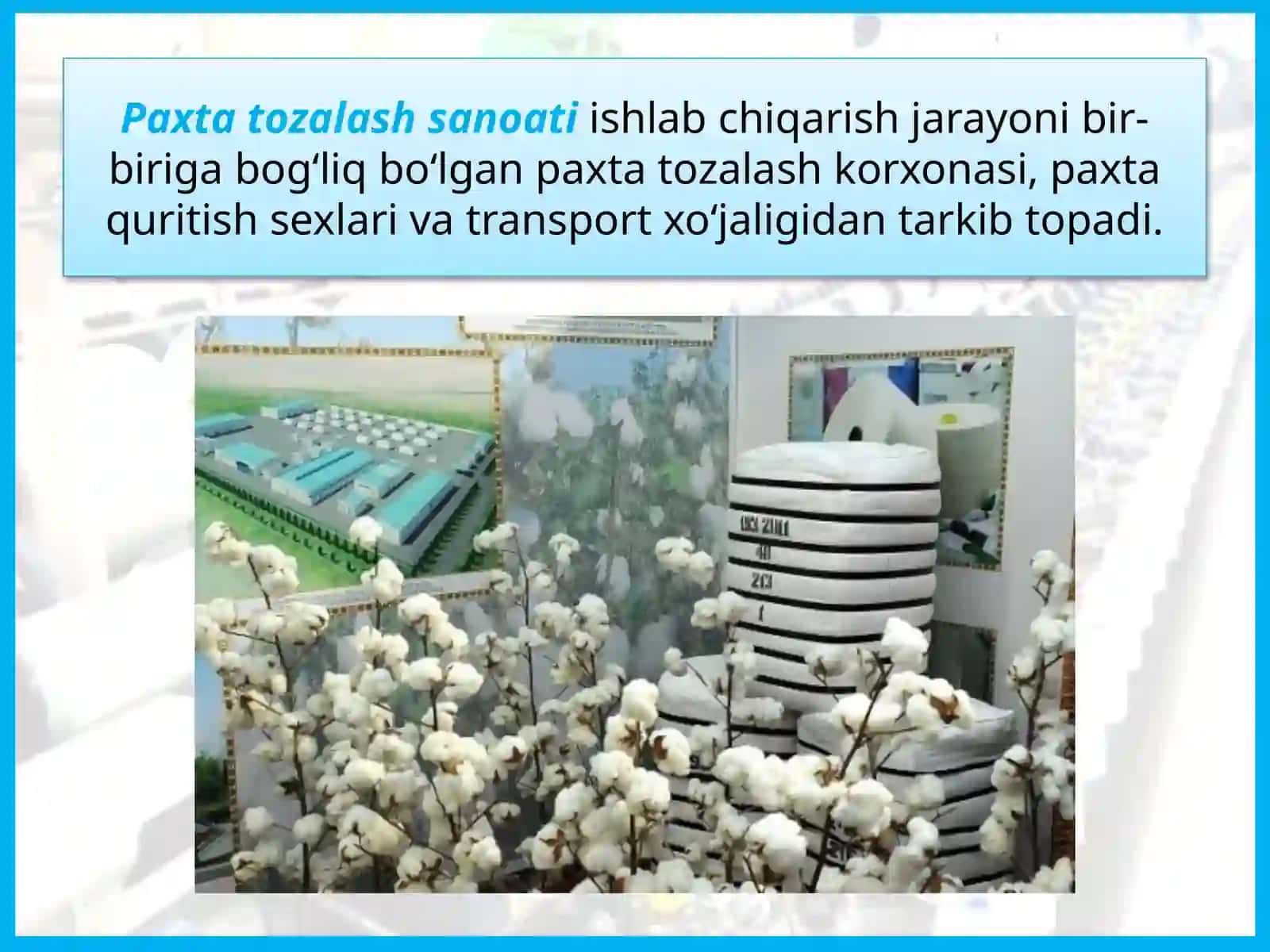 O’zbekiston yengil sanoati 3