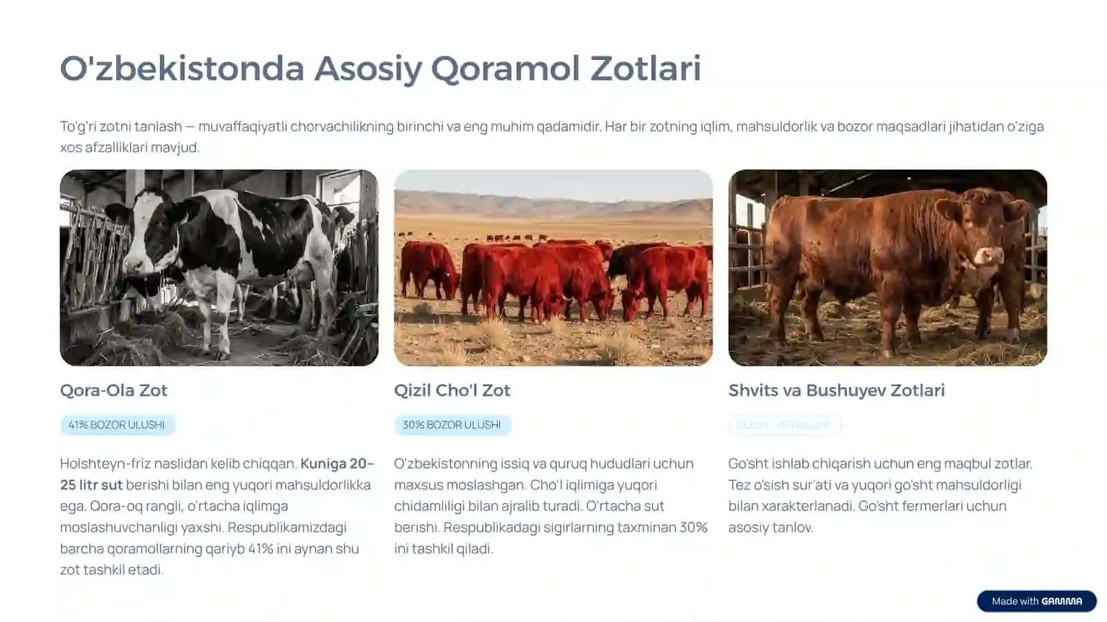 Chorvachilik: Qoramol Boqish Orqali Daromad Qilish 3