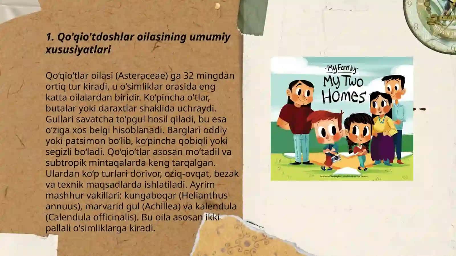 Qoqioʻtdoshlar oilasi 3