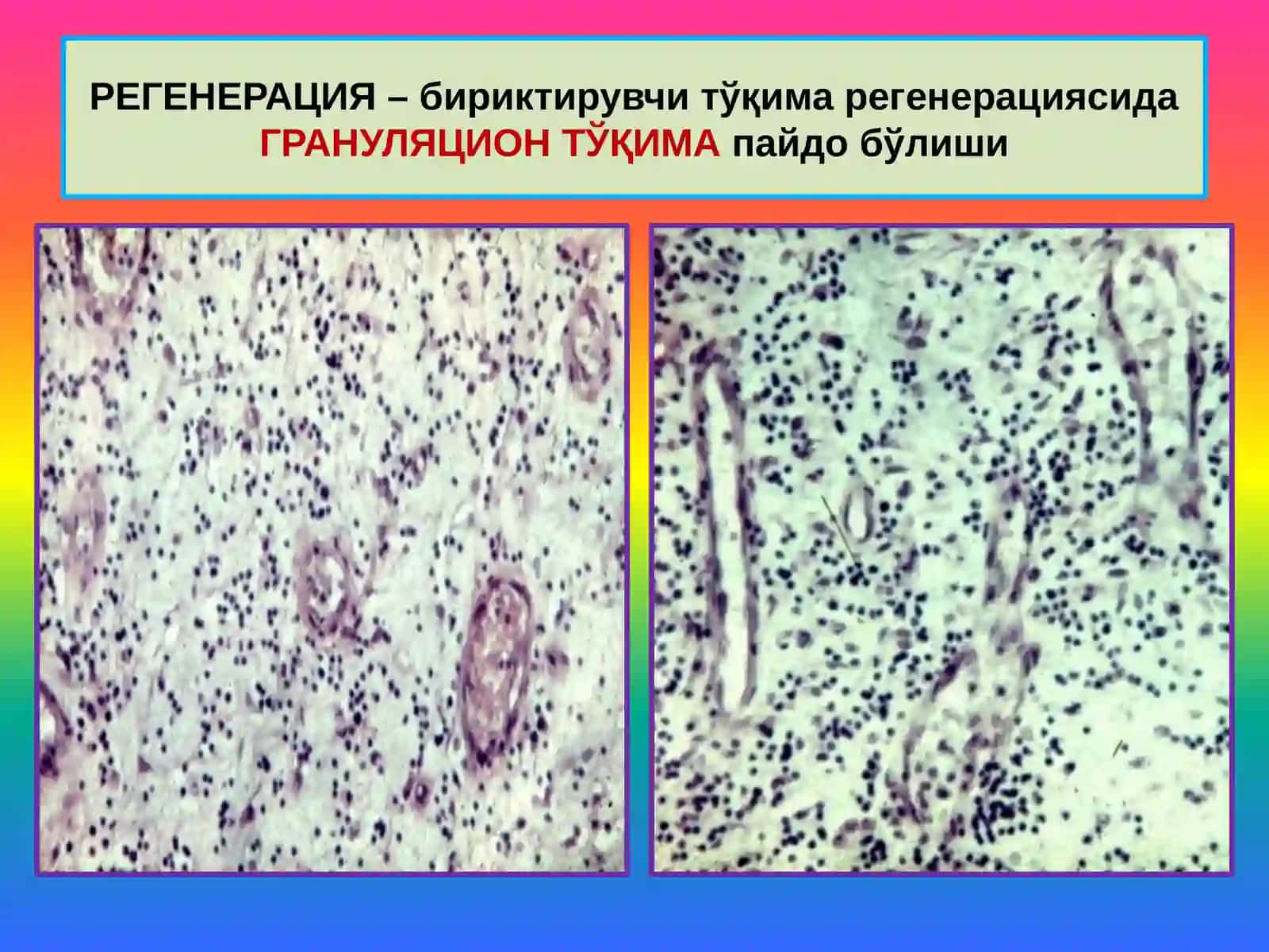 МОСЛАНИШ-ЎРИН АЛМАШИНИШ ЖАРАЁНЛАРИ 3