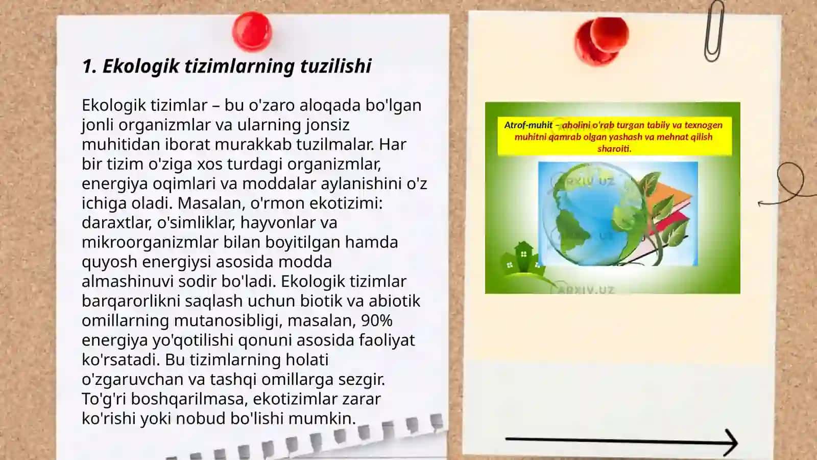 Ekologik tizimlar va ularning xususiyatlari 3