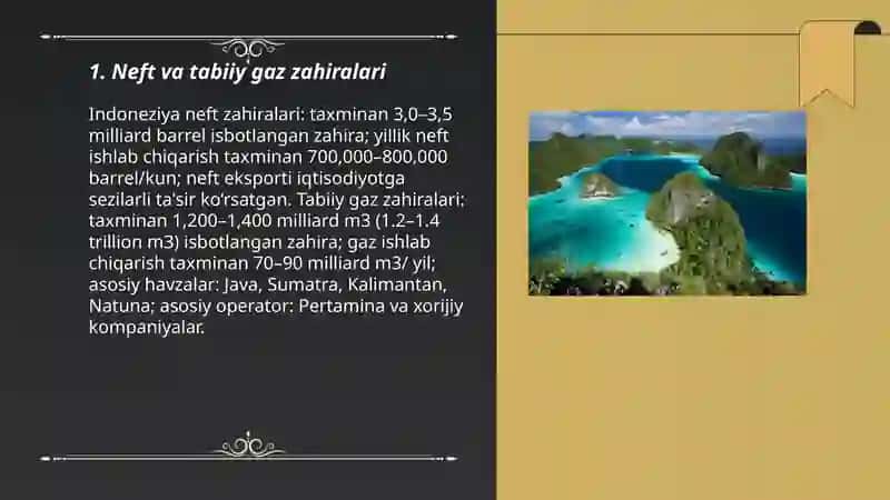 Indoneziya iqtisodiy manbai 3