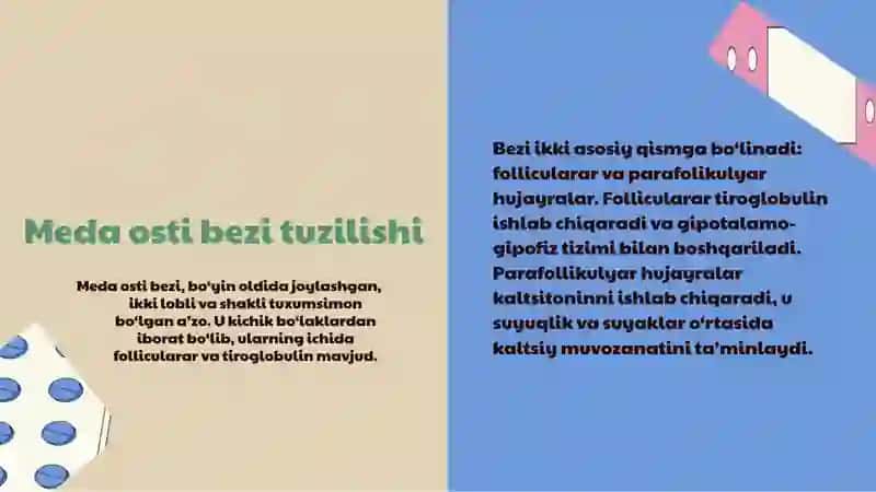 Meda osti bezi 3