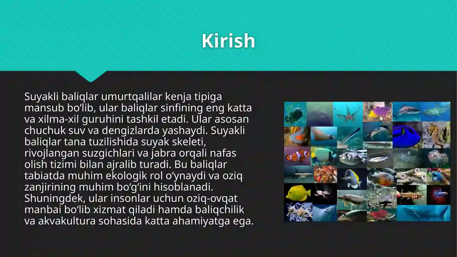 Suyakli baliqlar sistematikasi. Baliqlar ekologiyasi 3
