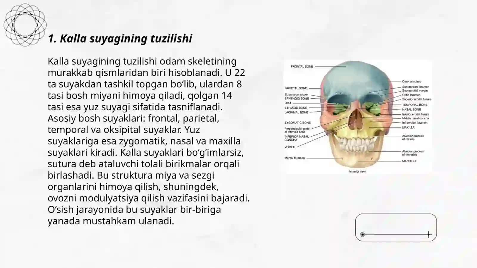 Kalla suyagi 3