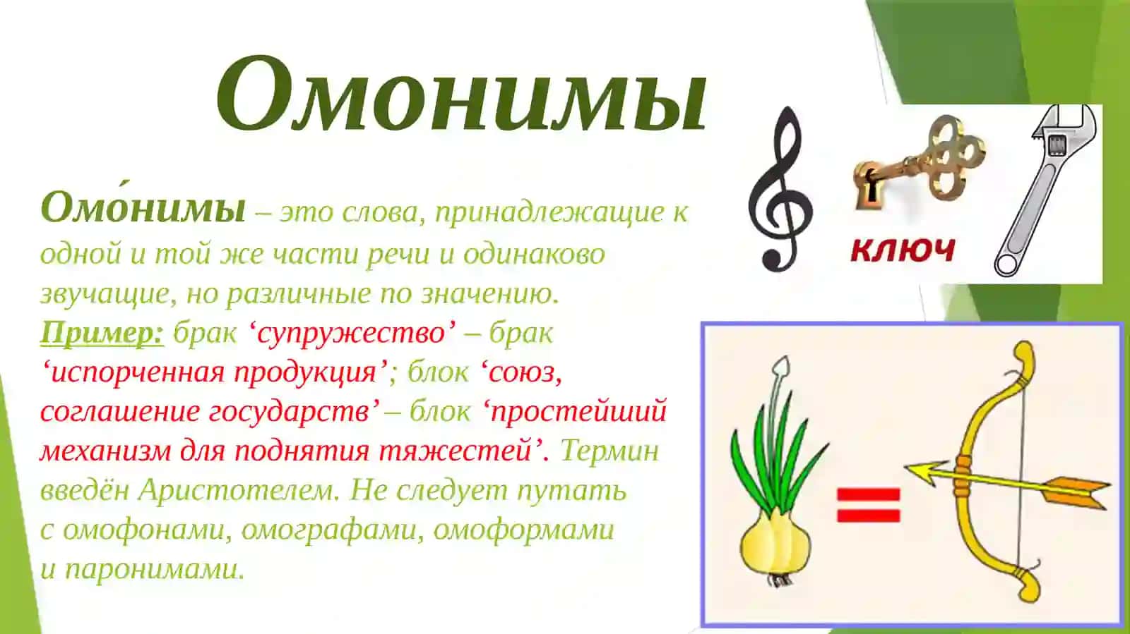 Антонимы. Синонимы. Омонимы. Паронимы 3