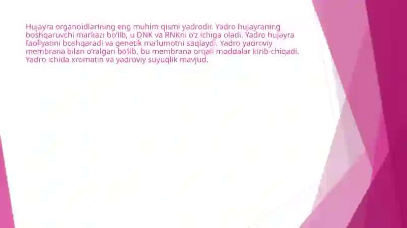 Hujayra Organoidlarining Tuzilishi 3