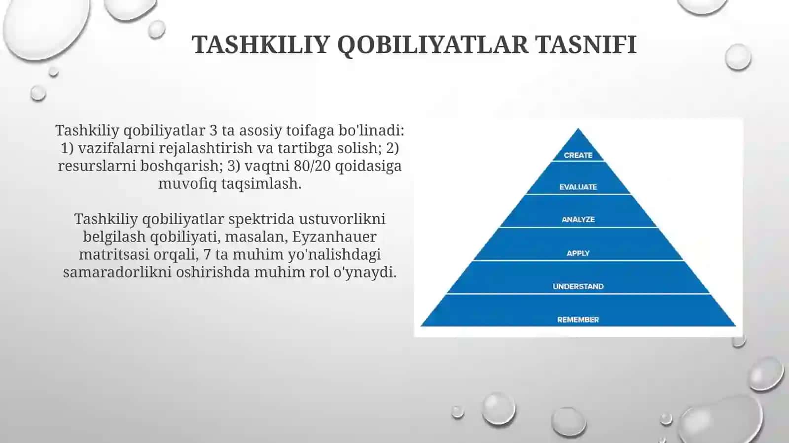 Tashkiliy Qobiliyatlar Tasnifi 3