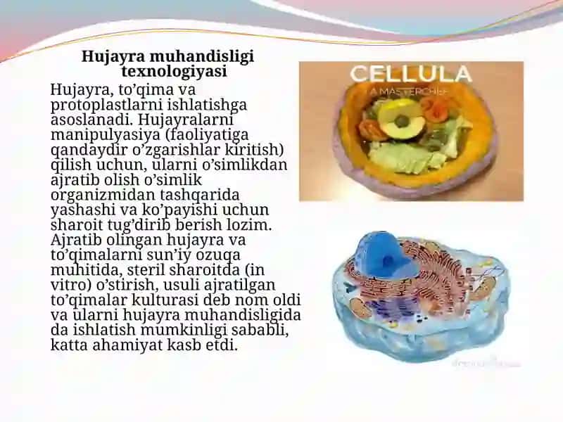 Hujayramuhandisligidagitexnologikjarayonlar 3