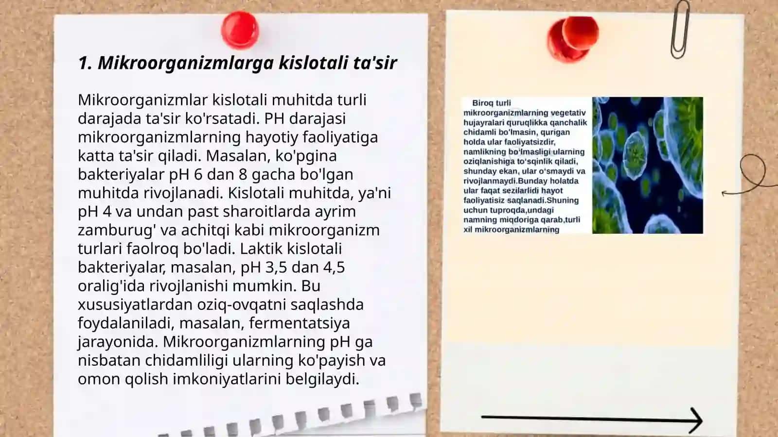 Mikroorganizmlarga kimyoviy omillarning ta'siri 3