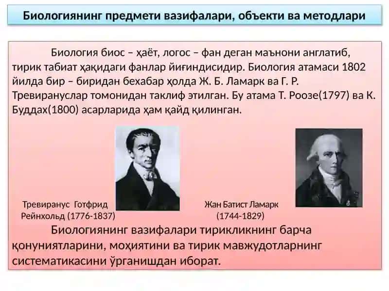 БИОЛОГИЯ ПРЕДМЕТИ 3