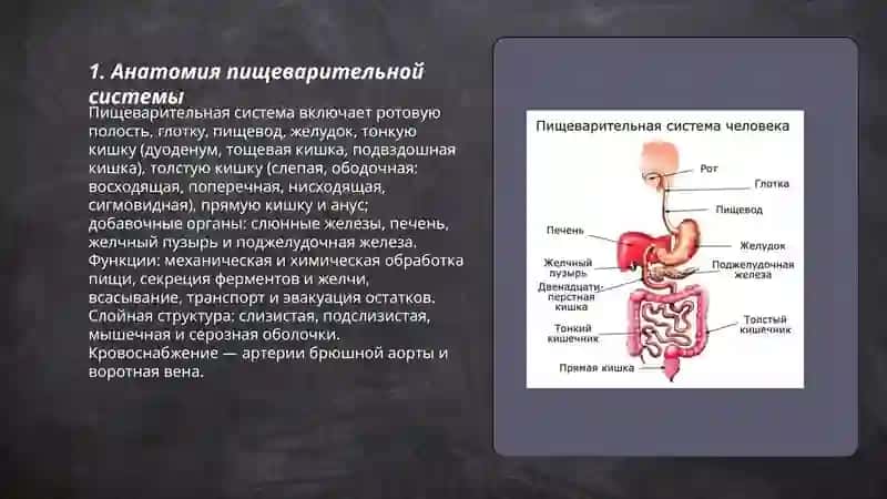 Pishevartelnaya sistema 3