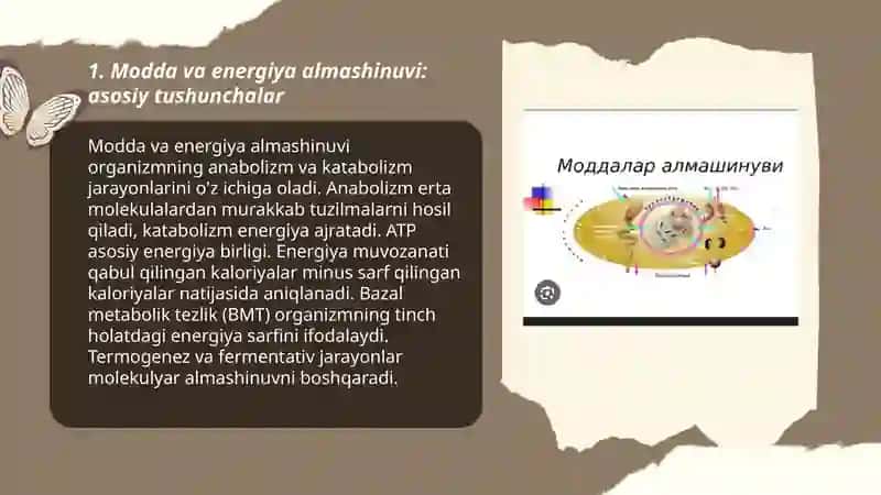 Modda va energiya almashinuvi 3