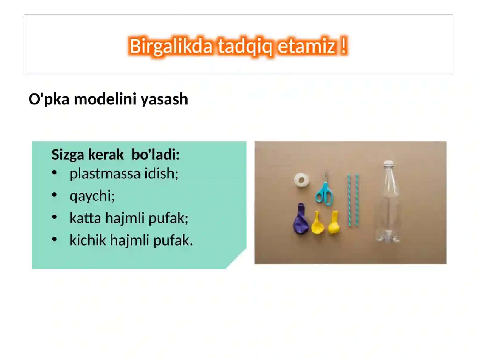 Nafassistemasi 3