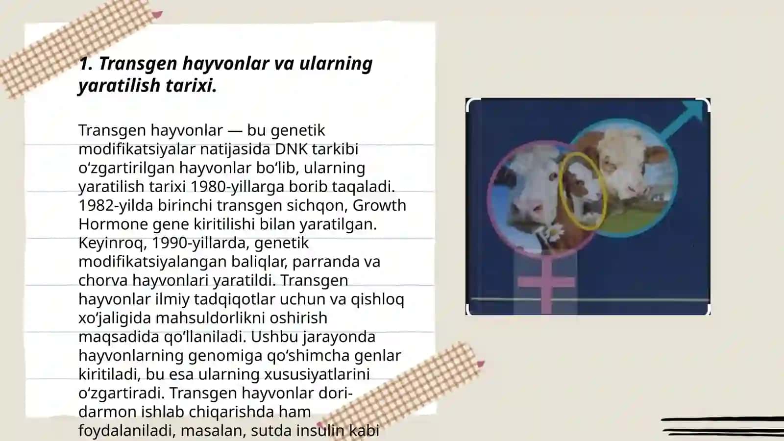 Transgen hayvon olish 3